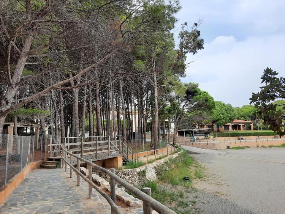 L'Armonia Entre La Farella I Cau Del Llop Apartamento Llança Exterior foto